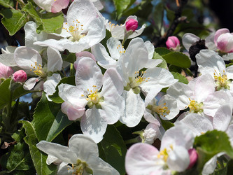 Similar image 21194049