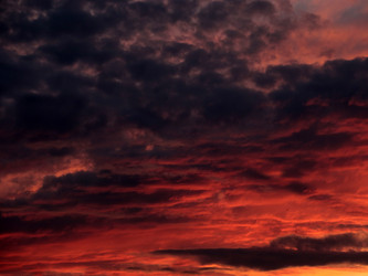 Similar image 21194050