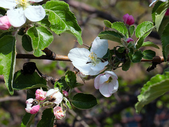 Similar image 21194070