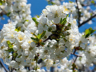 Similar image 21194071