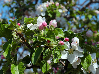 Similar image 21194072