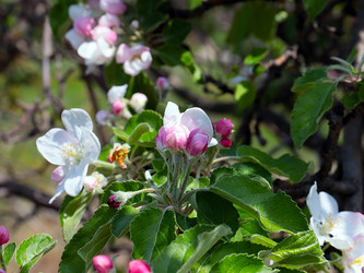 Similar image 21194073