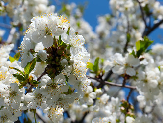 Similar image 21194074