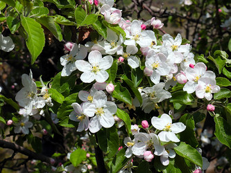 Similar image 21194075