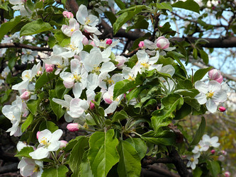 Similar image 21194076