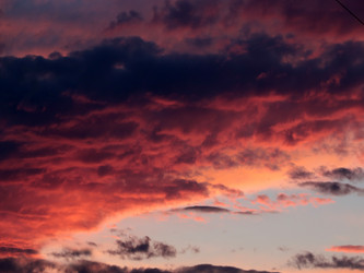 Similar image 21194077