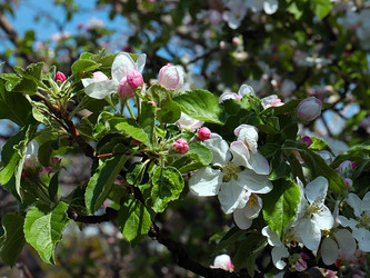 Similar image 21194078