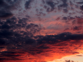 Similar image 21194080