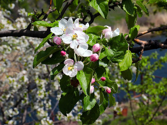 Similar image 21194081