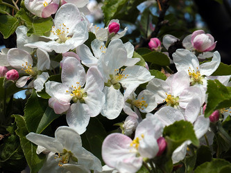 Similar image 21194082