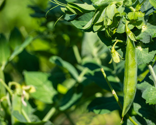 Similar image 21192321