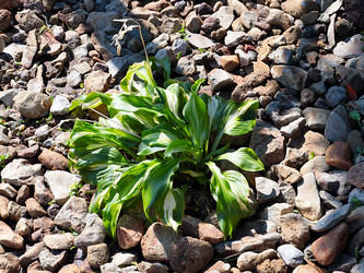 Similar image 21193973