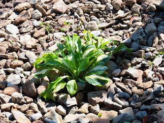 Similar image 21193975