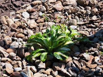 Similar image 21193977