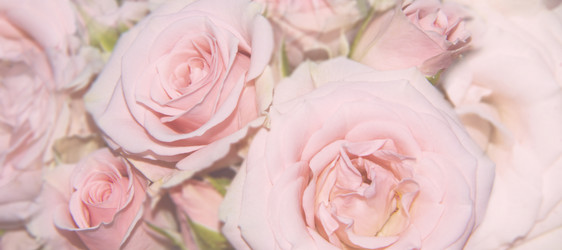 Similar image 21192387