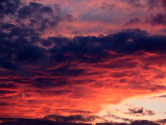 Similar image 21193980