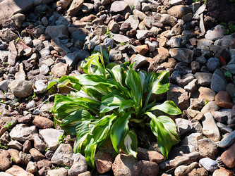 Similar image 21193981