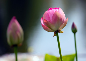 Similar image 21193982