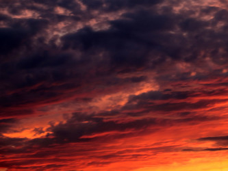 Similar image 21193986