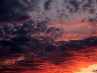 Similar image 21193987