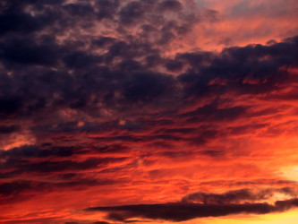 Similar image 21193988