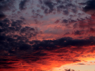 Similar image 21193989