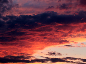 Similar image 21193990