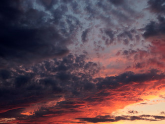 Similar image 21193992