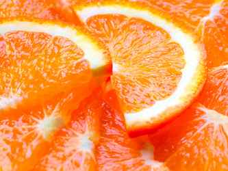 Similar image 21194006