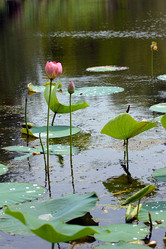 Similar image 21194086