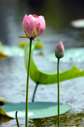 Similar image 21194087