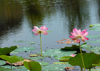 Similar image 21194095