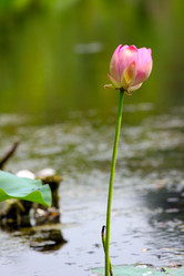 Similar image 21194097