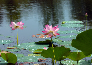 Similar image 21194101