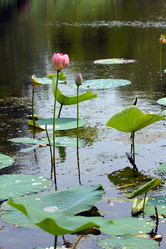 Similar image 21194103