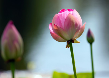 Similar image 21194105