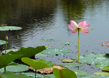 Similar image 21194107