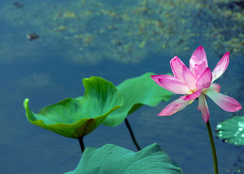 Similar image 21194109