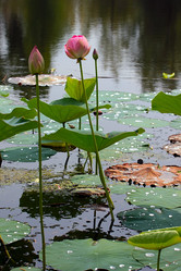 Similar image 21194118