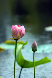 Similar image 21194119