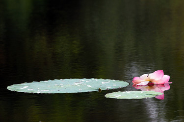 Similar image 21194126