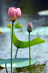 Similar image 21194128