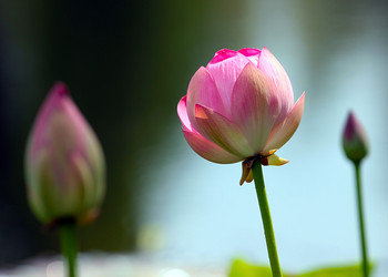 Similar image 21194130