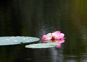 Similar image 21194132