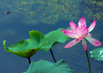 Similar image 21194133