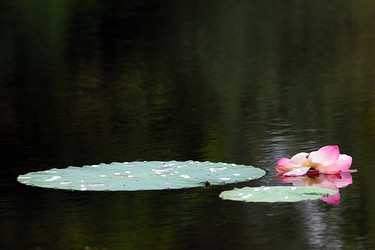 Similar image 21194134