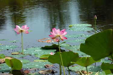 Similar image 21194135