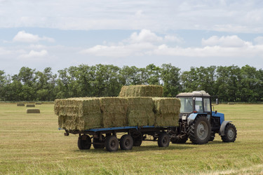 Similar image 21192394