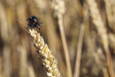 Similar image 21192395