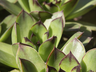 Similar image 21192397